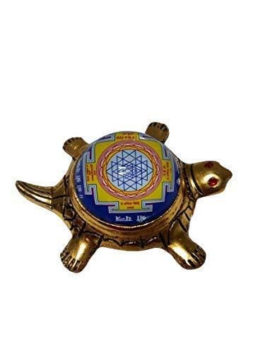 Dhan Laxmi Tortoise (Only Kachua) for Good Luck