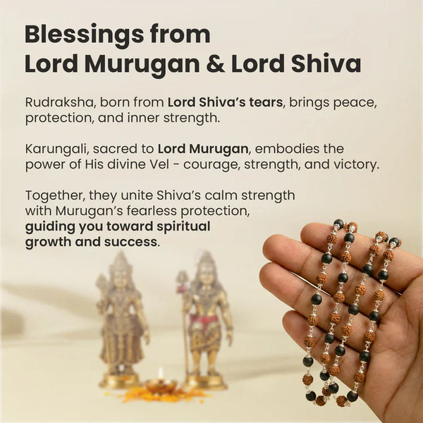 Divya Raksha Rudraksha & Karungali Mala - Combo Offer