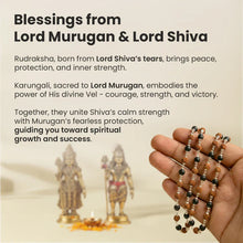 Divine Protection Combo – Rudraksha & Karungali Mala Set