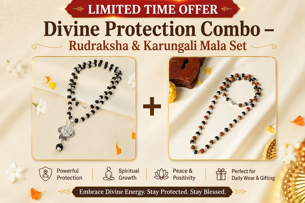 Divine Protection Combo – Rudraksha & Karungali Mala Set